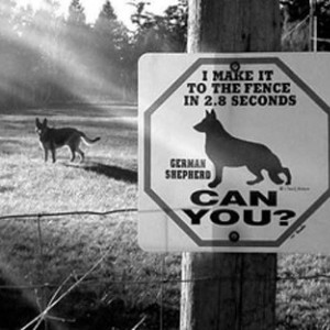 german-shephard-sign