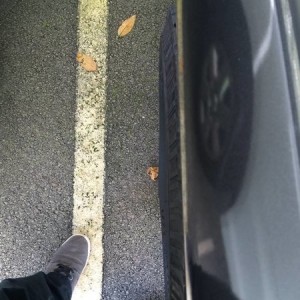 Tire View