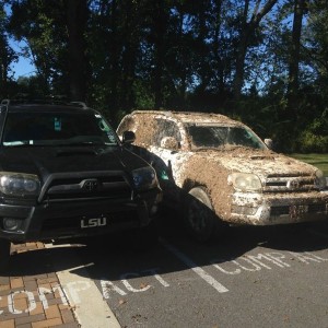 Baby 4Runner shit itself