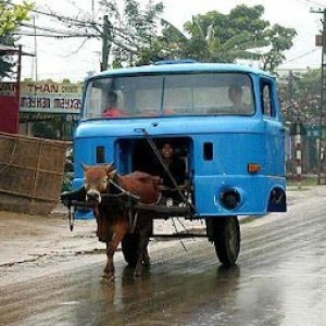 a_aaa-Donkey-pulling-truck-a-big-l
