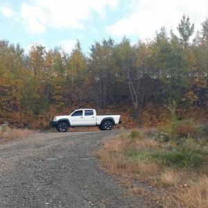 2007 Tacoma!