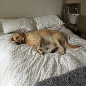 Came home to my buddy passed out...