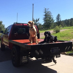 flatbed time