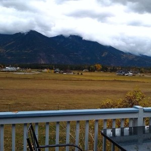 back porch view