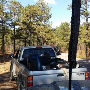 cleaning up the pines