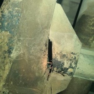 IMAG1184