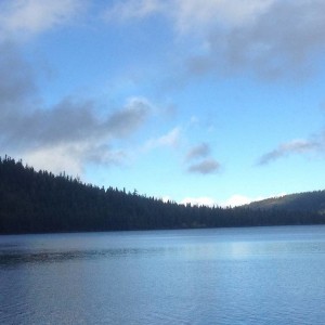 gold lake