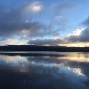 gold lake