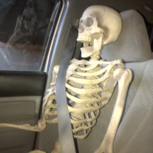My new navigator