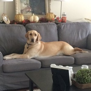 Think he's comfortable?