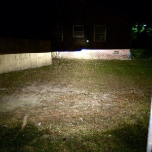 image10486