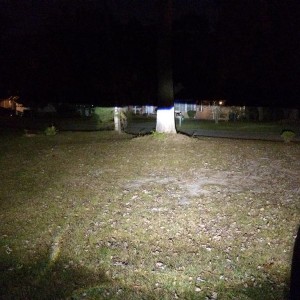 image10487