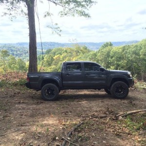 taco_249
