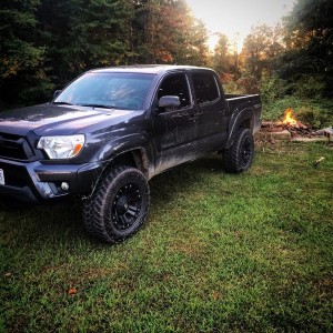 natural habitat