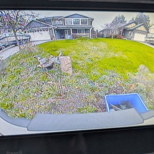 PXL_20250328_005223153.MP