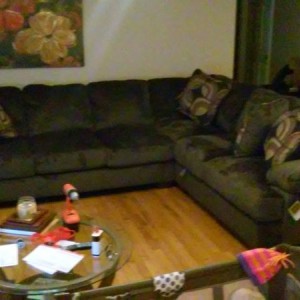 New couch woo hoo! Maybe just a touch too big but meh