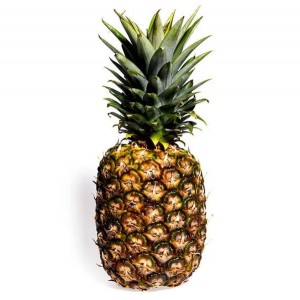 pineapplefacts20n-1-web_1_