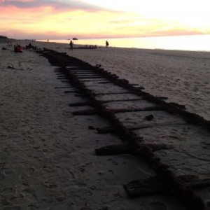 It's crazy what just shows up on the beach.