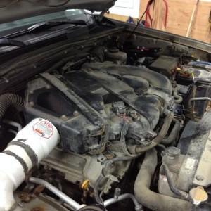 Engine bay needs a douching!