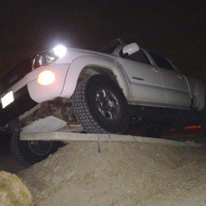 Mall crawlin