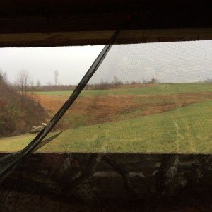 out in the deer blind.