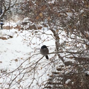 Even nature is cold