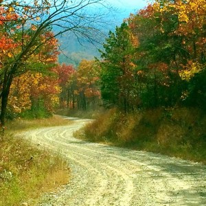 Fall colors