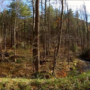 View, Hurricane Creek NC