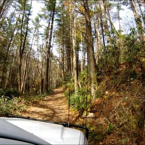 On the trail, Hurricane Creek