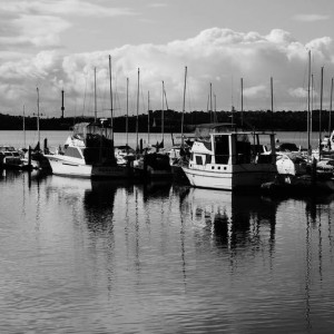 DSC0086610