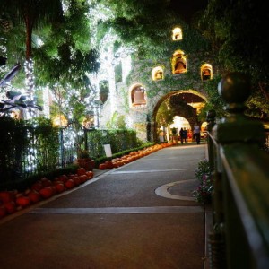DSC006605