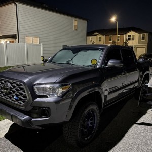 Taco