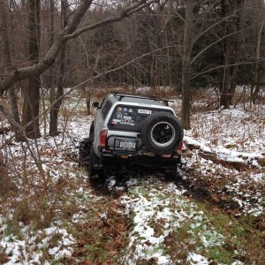 Just out in my woods!