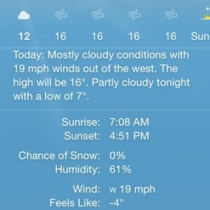 Nice day to work from home.