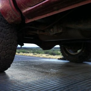 liveRaSCtF