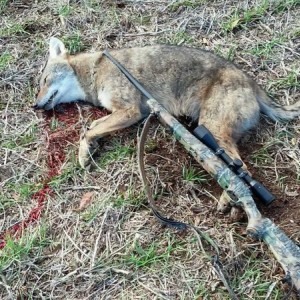 Not meat but ill take it