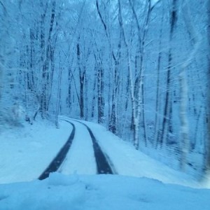 snowy drive home