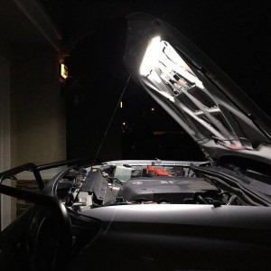 American Adventurist Anti-Dark Custom Lighting Setup