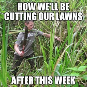 Mowing