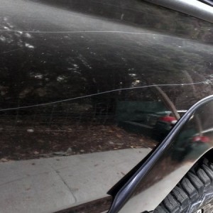 Trail pinstripes.