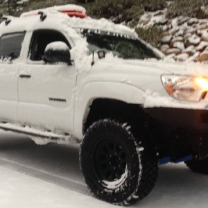 tacoma snow