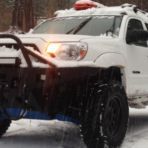 tacoma