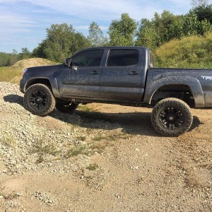 taco_84