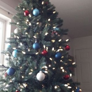 Patriotic tree :oldglory: