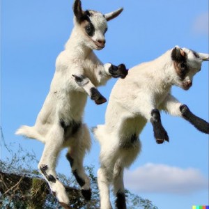 Goats