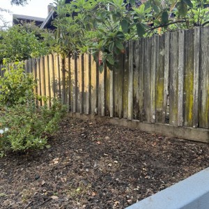 Old fence