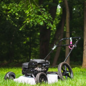 lowmower