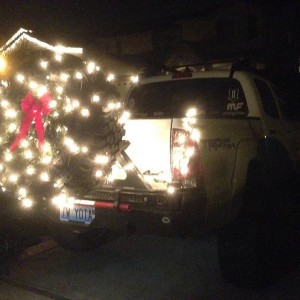 Lights