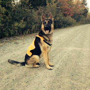 Riggs