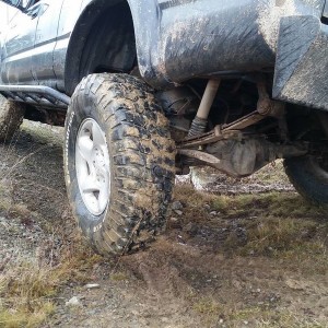Flexing